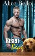 Risen Bear (eBook, ePUB) - Bild 1