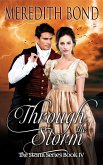 Through the Storm (eBook, ePUB)