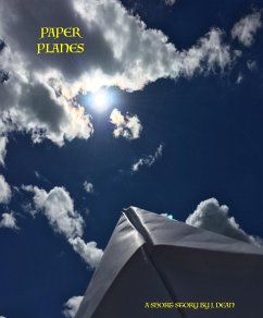 Cover Paper Planes (eBook, ePUB)