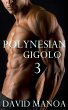 Polynesian Gigolo 3 (eBook, ePUB) - Bild 1