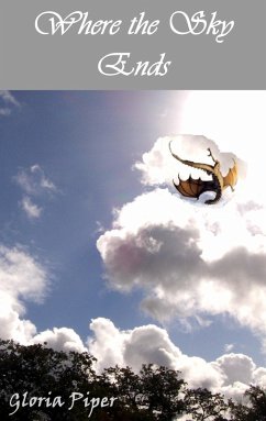 Cover Where the Sky Ends (eBook, ePUB)