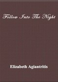 Follow Into The Night (eBook, ePUB)