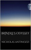 Brindle's Odyssey (eBook, ePUB)
