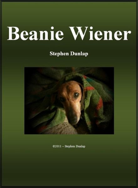 Beanie Wiener (eBook, ePUB)