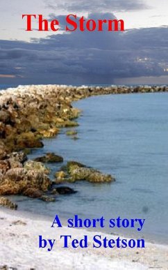 The Storm (eBook, ePUB) - Stetson, Ted