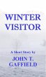 Winter Visitor (eBook, ePUB) - Bild 1