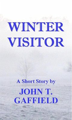 Cover Winter Visitor (eBook, ePUB)