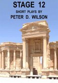Stage 12 (eBook, ePUB) Stage 12 (eBook, ePUB)