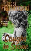Caught in Stone (eBook, ePUB) Caught in Stone (eBook, ePUB)