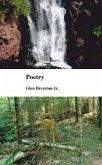 Poetry (eBook, ePUB)