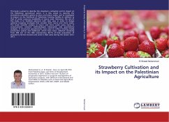Strawberry Cultivation and its Impact on the Palestinian Agriculture