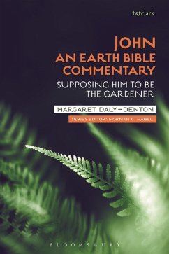 Cover John: An Earth Bible Commentary (eBook, PDF)