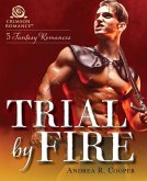 Trial by Fire (eBook, ePUB)