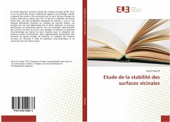 Etude de la stabilité des surfaces vicinales - Raouafi, Faycal