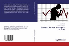 Business Survival Simulation in Crisis