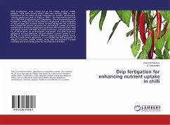 Drip fertigation for enhancing nutrient uptake in chilli