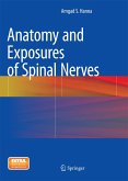 Anatomy and Exposures of Spinal Nerves Anatomy and Exposures of Spinal Nerves