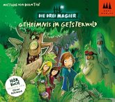 Geheimnis im Geisterwald / Die drei Magier Bd.2 (2 Audio-CDs)