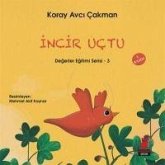 Incir Uctu Incir Uctu