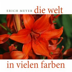 Die Welt in vielen Farben (eBook, ePUB) - Meyer, Erich