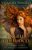 Angelo del Fuoco (eBook, ePUB)