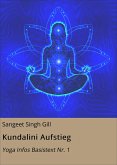 Kundalini Aufstieg (eBook, ePUB)