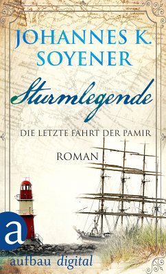 Sturmlegende (eBook, ePUB) - Soyener, Johannes K.