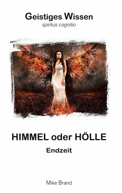 Himmel oder Hölle (eBook, ePUB) - Brand, Mike