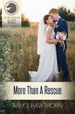 More Than a Rescue (Dark Horse Allies) (eBook, ePUB)