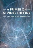 Primer on String Theory (eBook, ePUB)