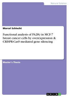 Functional analysis of PA28¿ in MCF-7 breast cancer cells by overexpression & CRISPR-Cas9 mediated gene silencing - Schlecht, Marcel