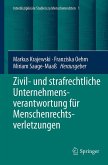 Zivil- und strafrechtliche Unternehmensverantwortung für Menschenrechtsverletzungen Zivil- und strafrechtliche Unternehmensverantwortung für Menschenrechtsverletzungen