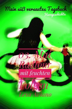 Radtour mit feuchten Folgen (eBook, ePUB) - Aviano, Lexa