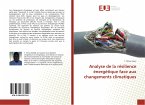 Analyse de la résilience énergétique face aux changements climatiques