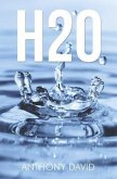 H20