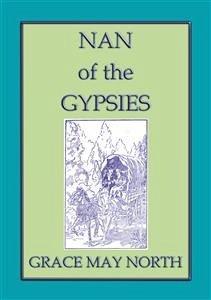 NAN of the GYPSIES - An American Coming of Age Novel (eBook, ePUB)