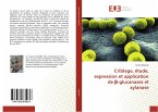 Criblage, étude, expression et application de ¿-glucanases et xylanase