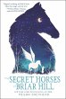 The Secret Horses of Briar Hill - Bild 1