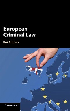 European Criminal Law - Ambos, Kai