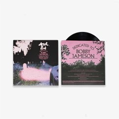 Dedicated To Bobby Jameson - Ariel Pink