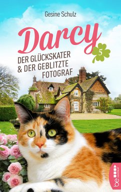 Darcy - Der Glückskater und der geblitzte Fotograf (eBook, ePUB) - Schulz, Gesine