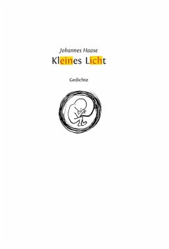 Kleines Licht (eBook, ePUB) - Haase, Johannes