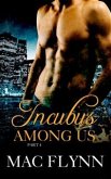 Incubus Among Us #4: Demon Paranormal Romance (eBook, ePUB)