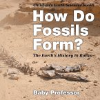 How Do Fossils Form? The Earth's History in Rocks   Children's Earth Sciences Books