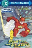 Fast as the Flash! (DC Super Friends)
