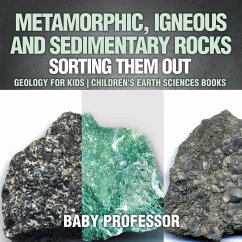 Metamorphic, Igneous and Sedimentary Rocks - Baby