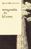 Sequoia in Bloom Sequoia in Bloom