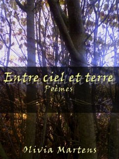 Entre ciel et terre (eBook, ePUB)