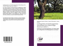 Callogenèse et Embryogenèse Somatique du Chêne-liège Quercus suber L. - El Bouzdoudi, Brahim;Lamarti, Ahmed