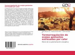 Termorregulación de ovejas gestantes estresadas por calor